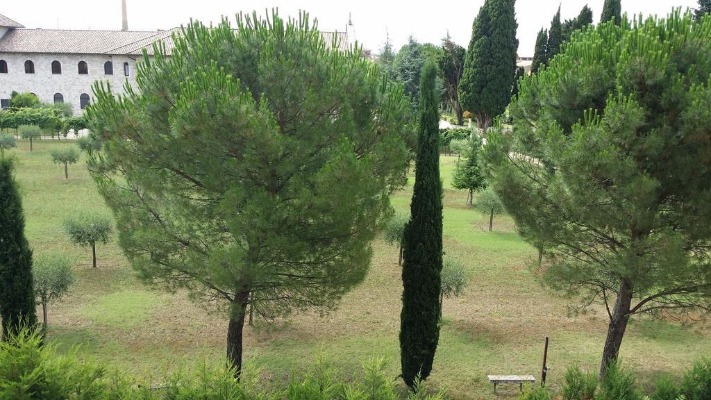 Appartamenti Francesco In Assisi Ruang foto